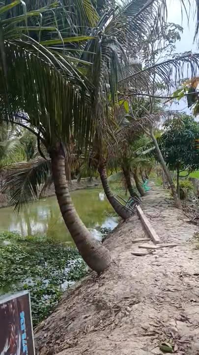 Đất nền 100m² Phường Bình Đức, Long Xuyên giá 6 tỷ - Chính chủ bán gấp!