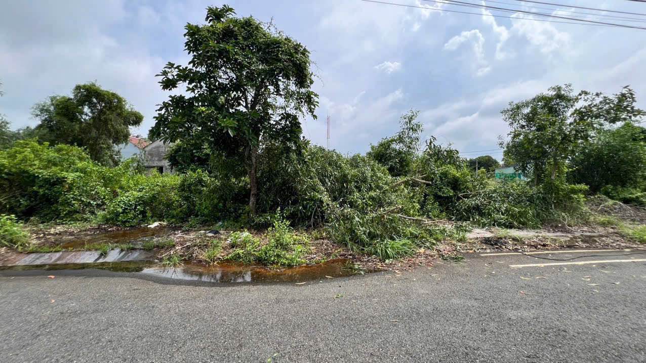 Đất nền KĐT Nam Ba Hòn, Kiên Lương 212m² chỉ 1.4 tỷ - Đầu tư sinh lời!