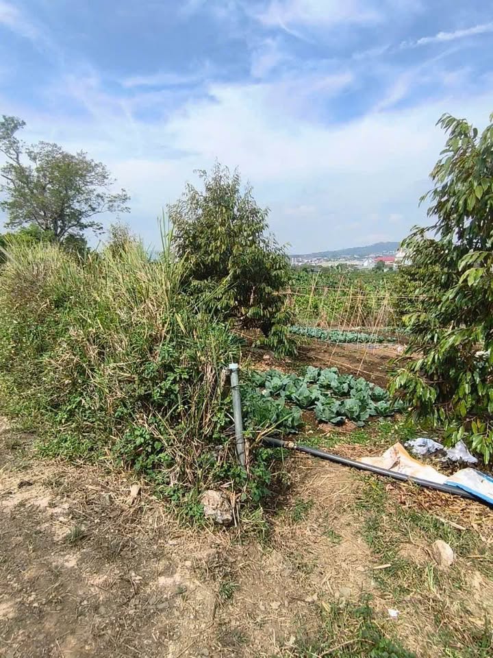 Đất mặt tiền Phan Huy Ích, Bảo Lộc 1020m² giá 2.4 tỷ - Sổ hồng chính chủ!