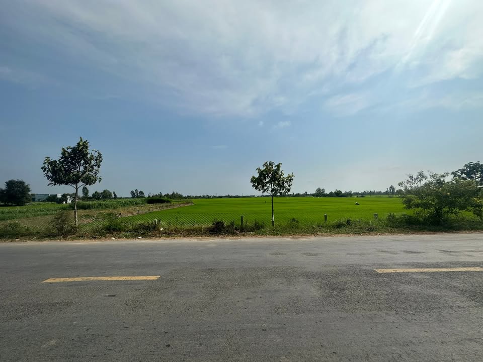 Đất nền thổ cư 270m² tại Đường tỉnh 872B, Đồng Tháp - Giá chỉ 790 triệu!