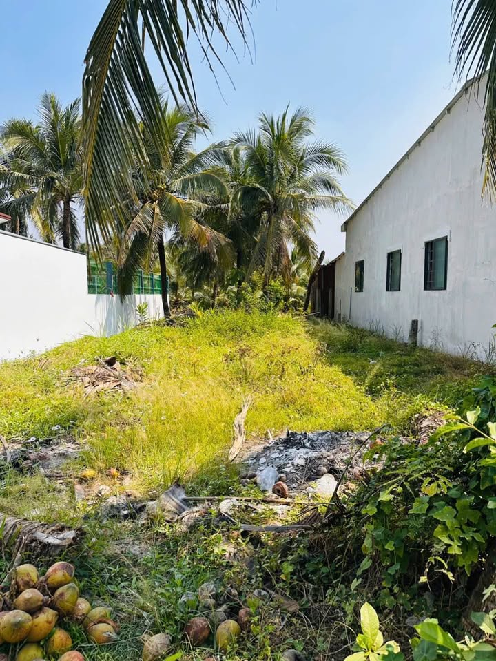 Đất nền Long Hưng, Châu Thành, Tiền Giang 80m² giá 930 triệu - Cơ hội đầu tư hấp dẫn!