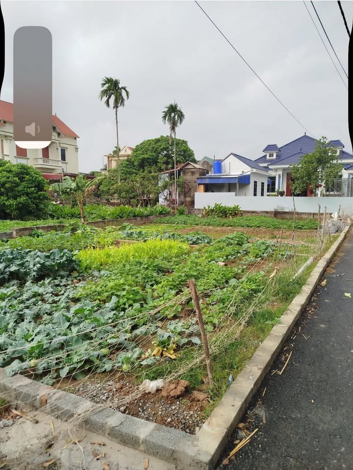 Đất nền Phố Hiến 78m² giá 1 tỷ - Cơ hội đầu tư vàng tại Hưng Yên!