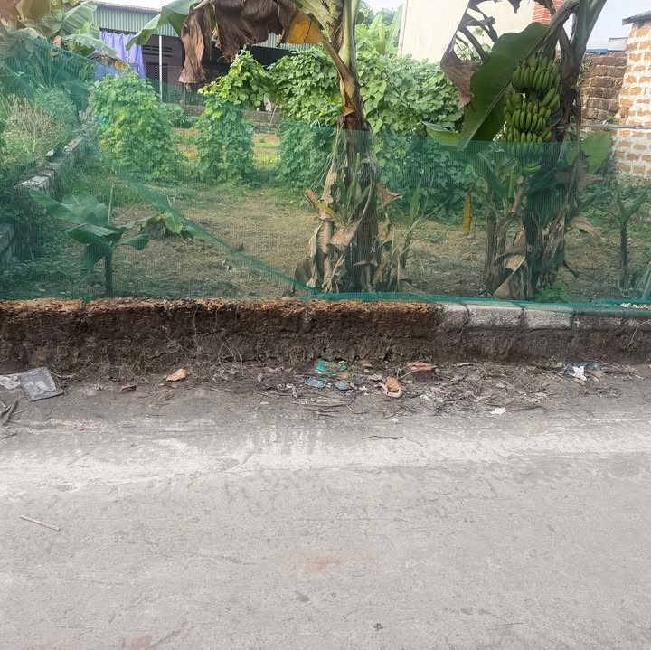 Đất thổ cư Thôn Sen Trì, Bình Yên, 192m² giá 5 tỷ - Vị trí đẹp, giao thông thuận lợi!