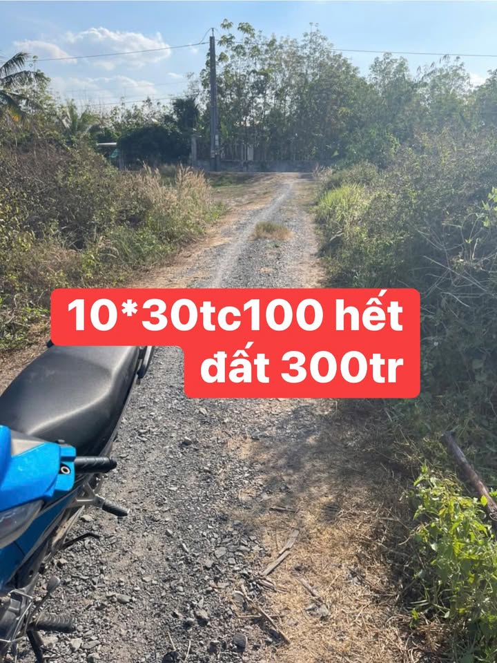 Đất nền Tân Bình, Tân Biên 300m² giá 300 triệu - Cơ hội đầu tư hấp dẫn!
