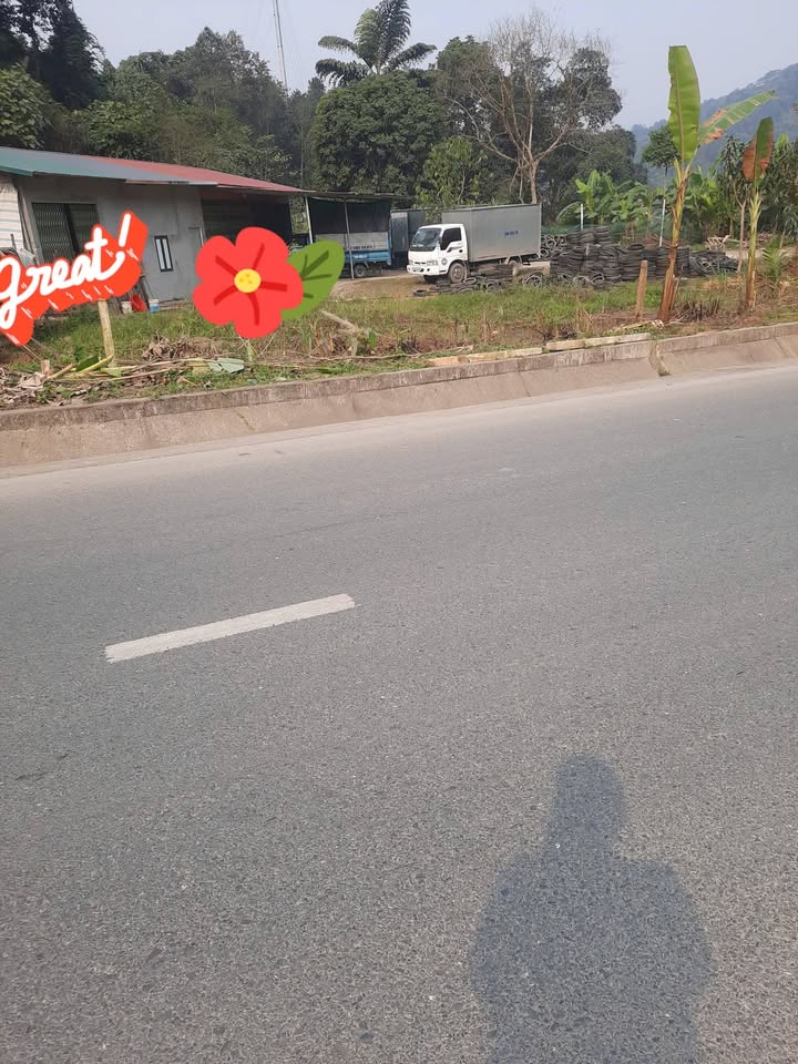 Đất cho thuê lâu dài 5000m² tại Phường Bắc Cường - Cơ hội kinh doanh lý tưởng!