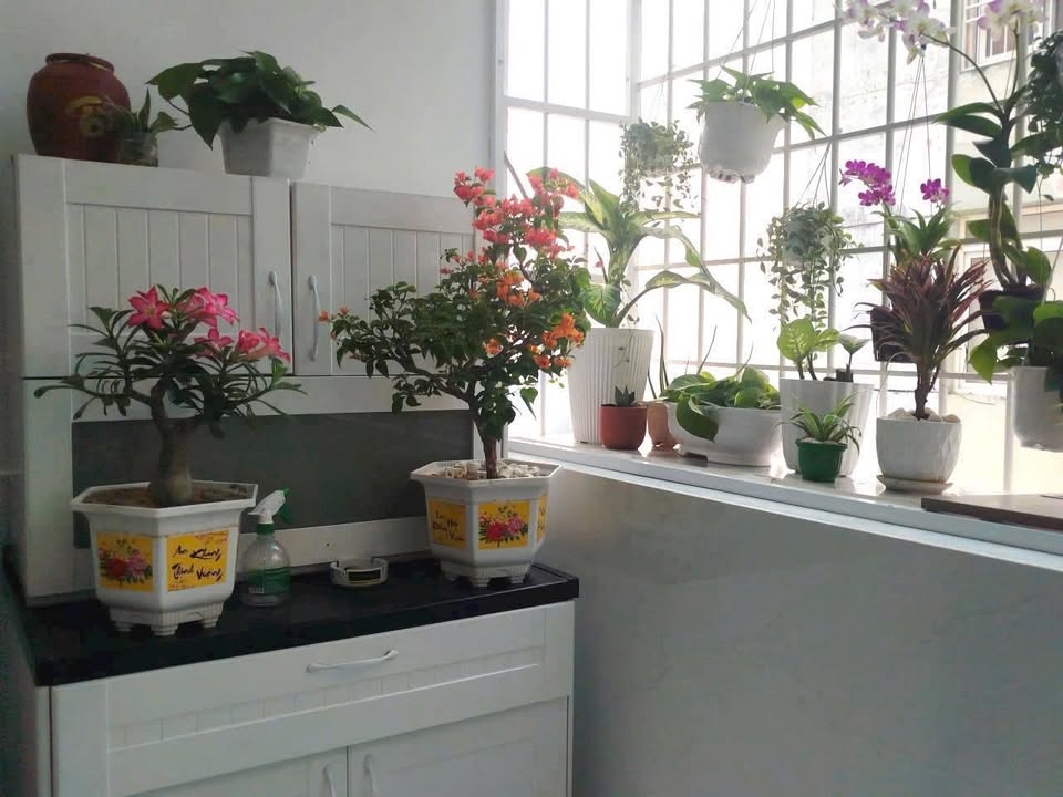 Căn hộ chung cư Seaview2 Vũng Tàu 100,5m² giá 3,32 tỷ - View biển tuyệt đẹp!