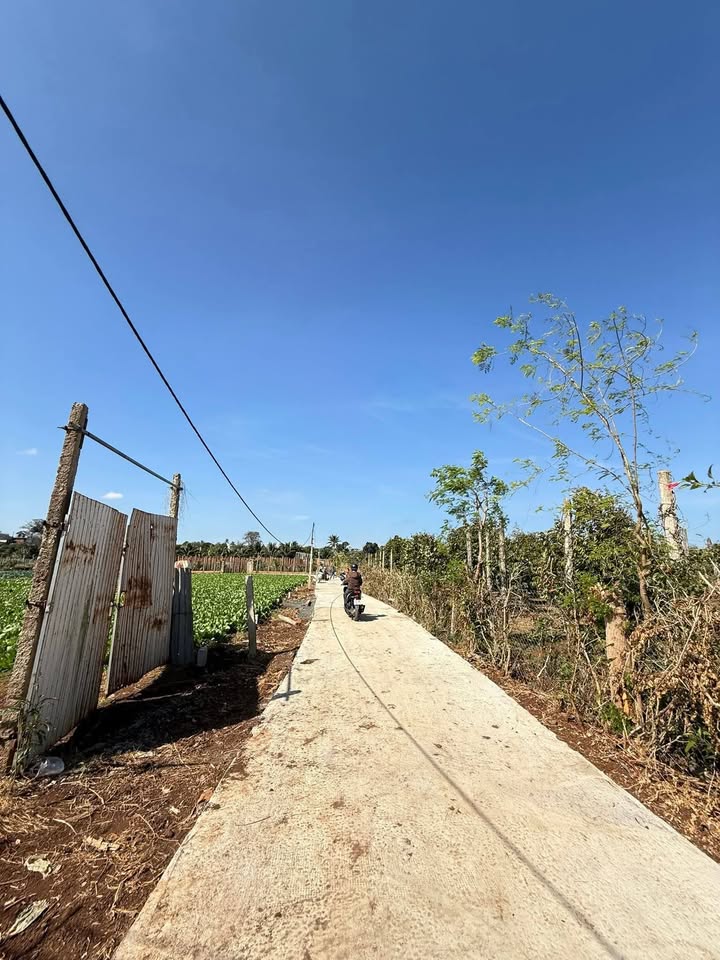 Đất nền Thị trấn Phước An 265m² giá chỉ 200 triệu - Đầu tư lý tưởng!