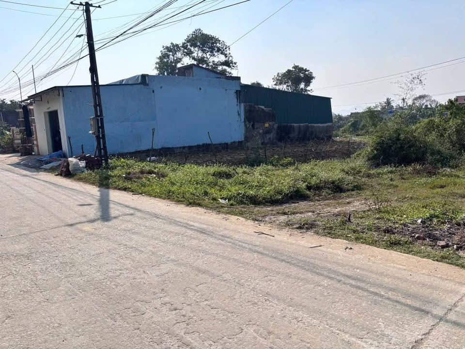 Đất kinh doanh tại xã Đông Thành, Hậu Lộc 196m² - Đầu tư sinh lời ngay!