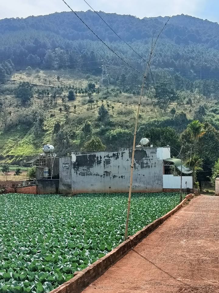 Đất nền xã Hiệp An, Đức Trọng 133m² giá 1.2 tỷ - Cơ hội đầu tư tuyệt vời!