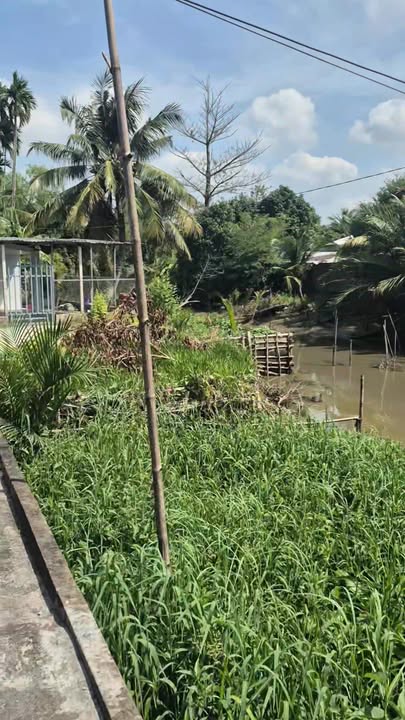 Nhà cấp 4 tại xã Đông Phú, Huyện Châu Thành, 278m² giá 690 triệu - Sẵn sàng vào ở ngay!