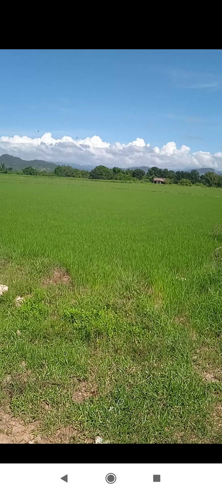 Đất nông nghiệp tại xã Hồng Sơn, Hàm Thuận Bắc 6ha - Pháp lý rõ ràng, giá thỏa thuận!