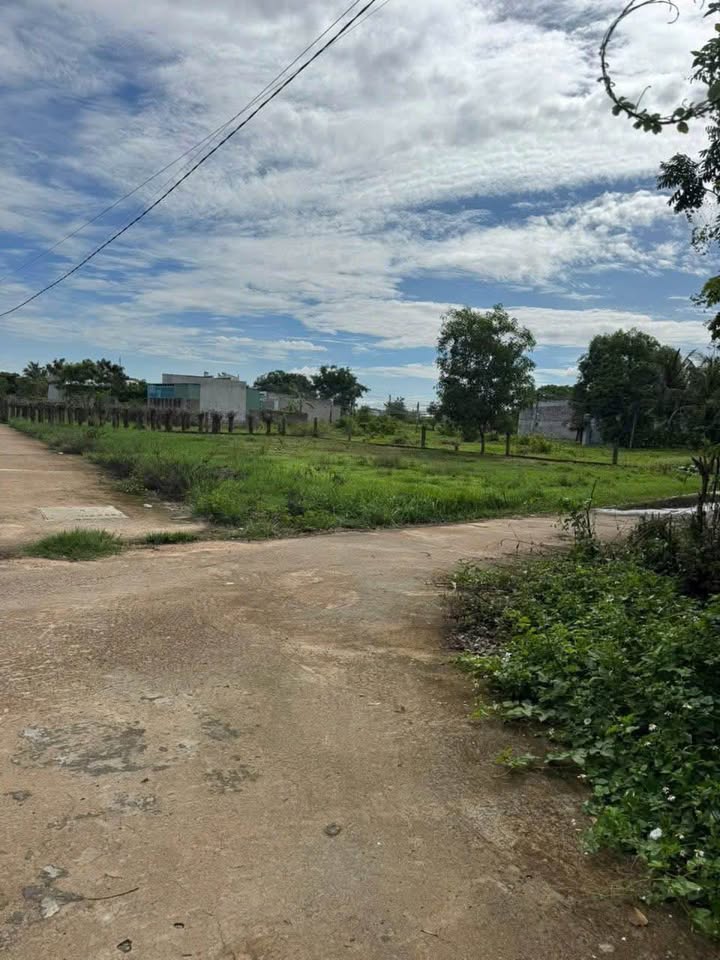 Đất nông nghiệp 750m² Phong Nẫm - Phan Thiết giá chỉ 1.1 tỷ - Đầu tư sinh lời!