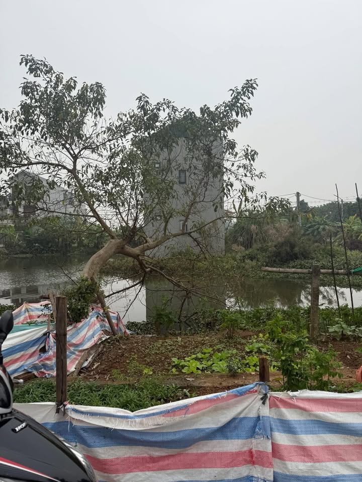 Nhà đẹp tại Ngõ 17 Đường Nguyễn Bặc, Ninh Khánh 56m² giá 3 tỷ - Gần phố cổ!