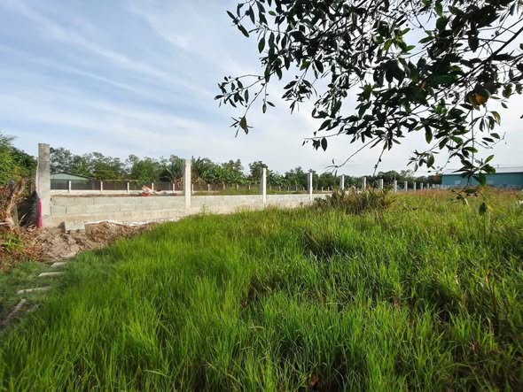 Đất nhà vườn tại Phường Long Phước, Quận Thủ Đức - 2480m² giá 37.51 tỷ - Cơ hội đầu tư hiếm có!