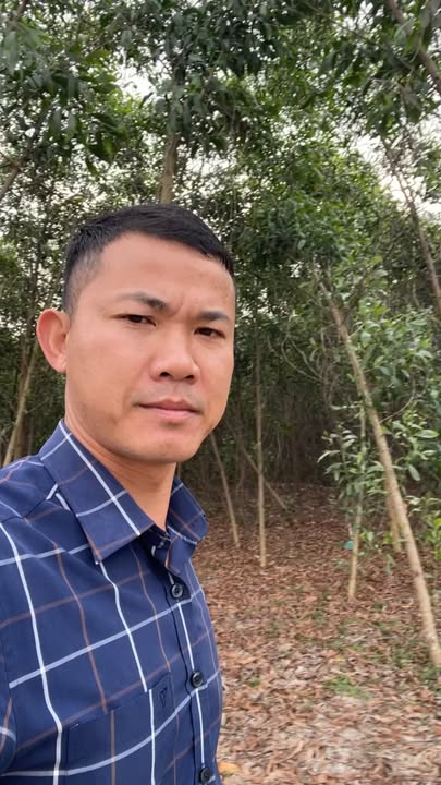 Đất rừng Quỳnh Châu 8.5ha giá 3 tỷ - Cơ hội đầu tư hấp dẫn!