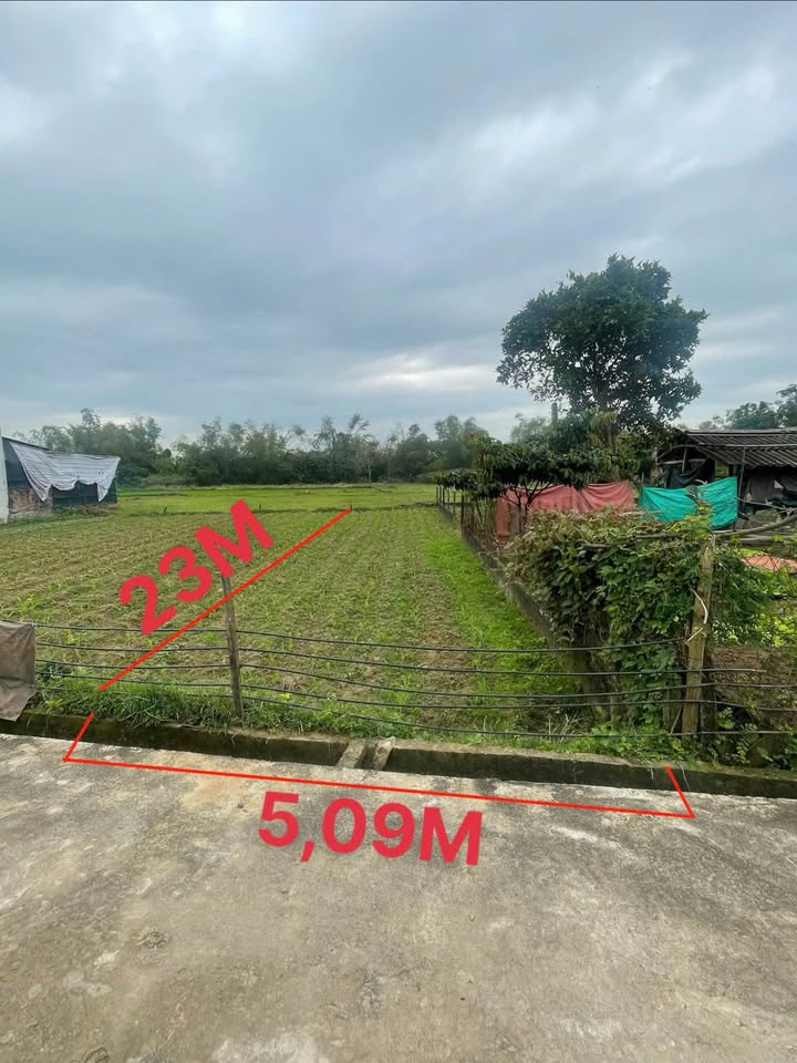 Lô đất TDP Quang Hiện - 115m² giá 700 triệu - Đường ô tô tận nơi!