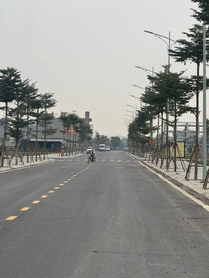 Đất nền KĐT Hoàng Lý, 90m² giá 4 tỷ - Đầu tư sinh lời ngay!