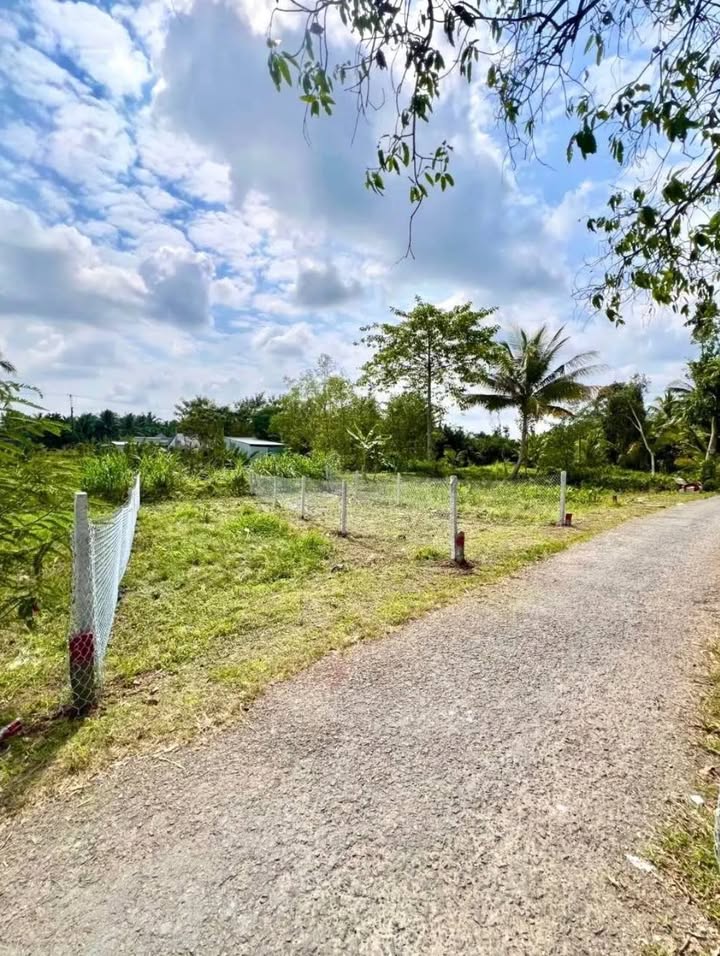 Đất nền Đường Nhựa, Xã Tân Lộc, Huyện Tam Bình, 95m² - Giá cực tốt cuối năm!