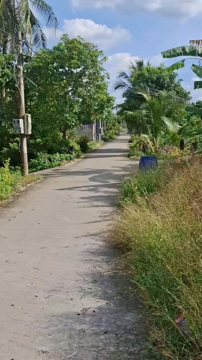 Đất 1000m² tại Mỹ Hạnh Đông, Cai Lậy chỉ 1.5 tỷ - Mặt tiền ô tô vào tận nơi!