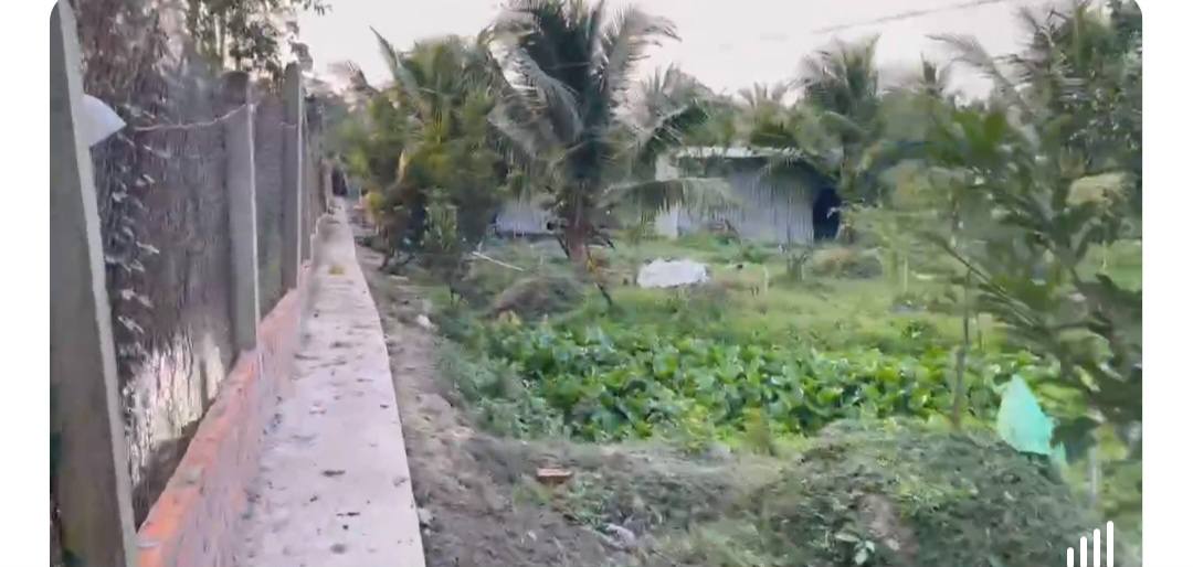 Farm cho thuê tại Mỹ Phước Tây 80.000m² - Đầu tư sinh lời với trang trại sẵn có!