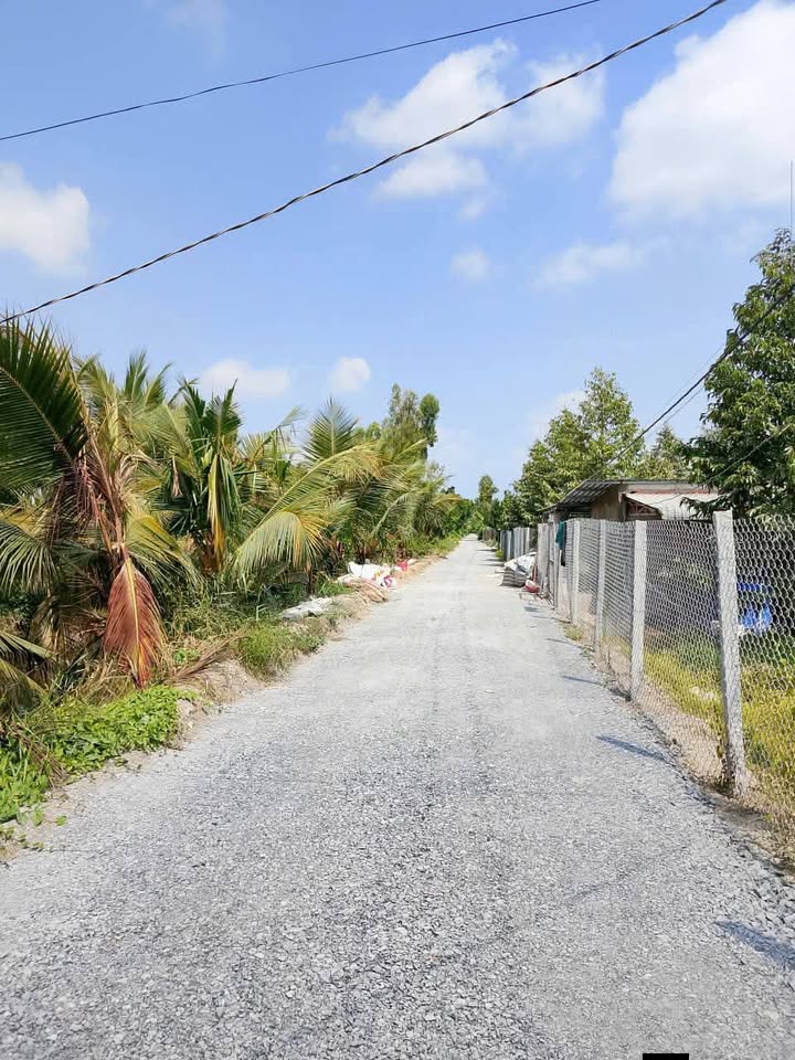 Đất Farm 6000m² xã Mỹ Tân, Cái Bè - Mặt tiền 38m, giá 2.88 tỷ