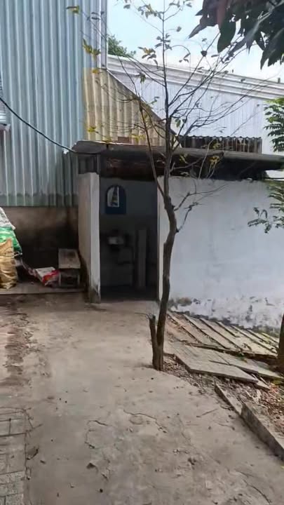 Đất ODT 100m² + CLN 1818m² tại Bình Đức An Giang - Giá tốt thương lượng