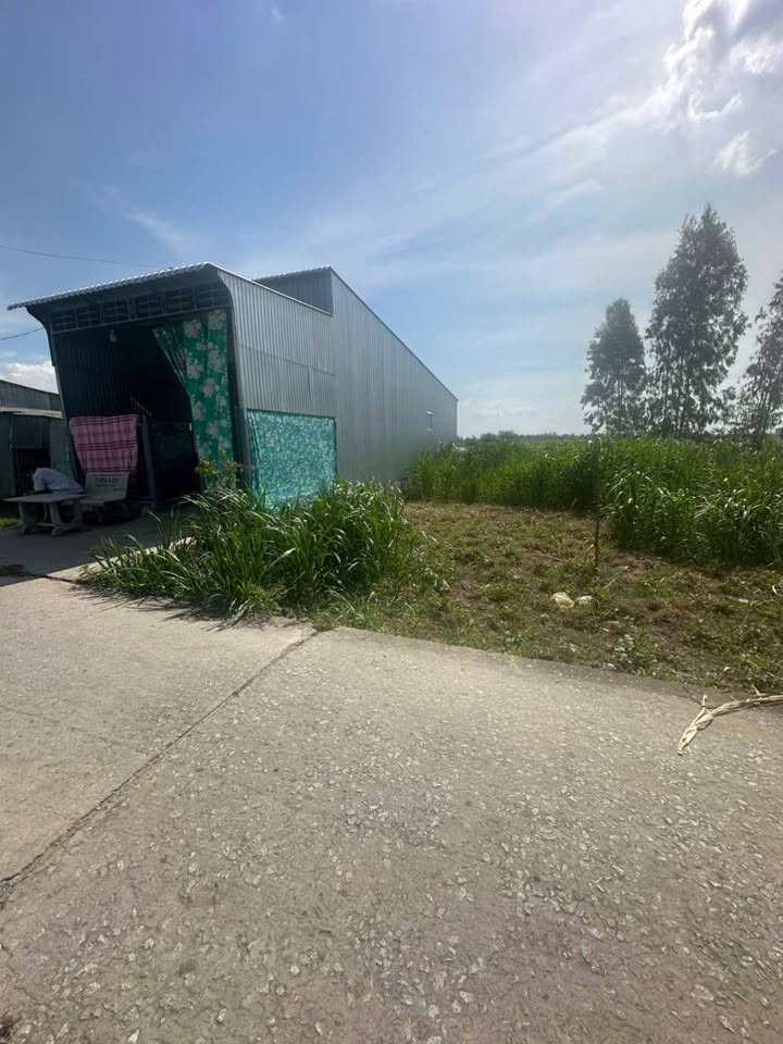 Đất nền thổ cư An Phước 100m² giá 230 triệu - Đầu tư sinh lời ngay!