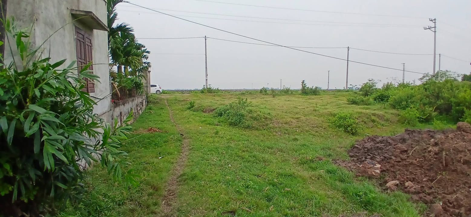 Đất nền Xã Nga Tân 200m² giá chỉ 700 triệu - Cơ hội đầu tư tuyệt vời!