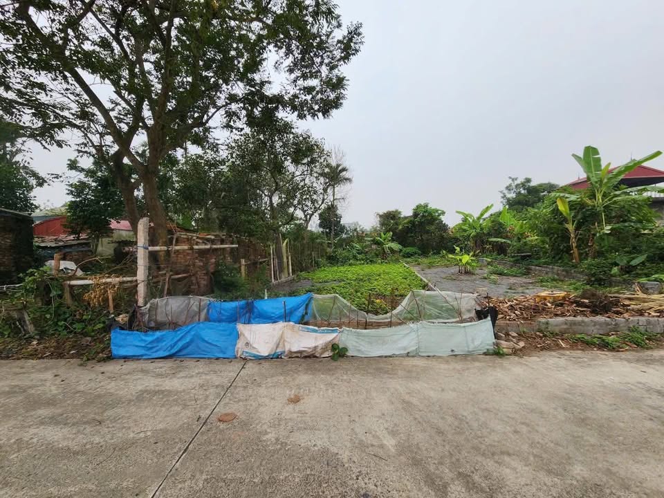 Đất thổ cư Thôn Ngọ, Xã Chuyên Mỹ, 100m² chỉ 3 tỷ - Đường ô tô thông thoáng!