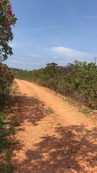 Đất nền Cư Jút Đắk Nông 2448m² giá 17 triệu/m - Đường ô tô tận nơi!