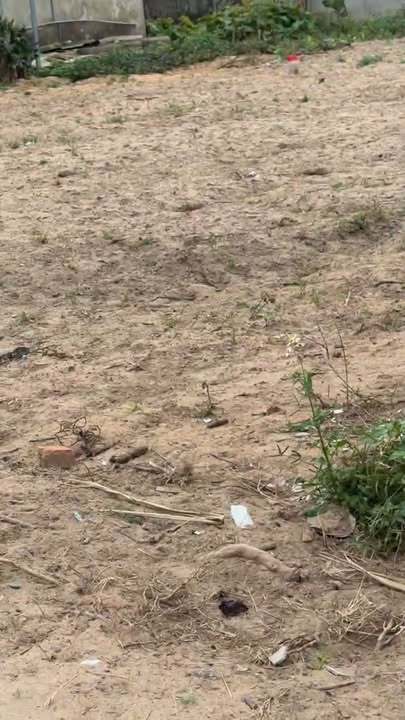 Đất nền Kỳ Tiến 174m² giá 700 triệu - Sổ đỏ chính chủ