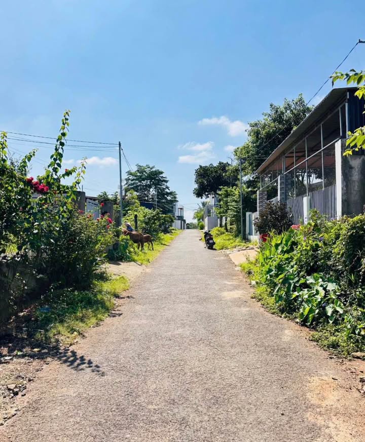 Đất thổ cư 288m² tại Hẻm Y Wang, Buôn Ma Thuột - Giá chỉ 3,6 tỷ!