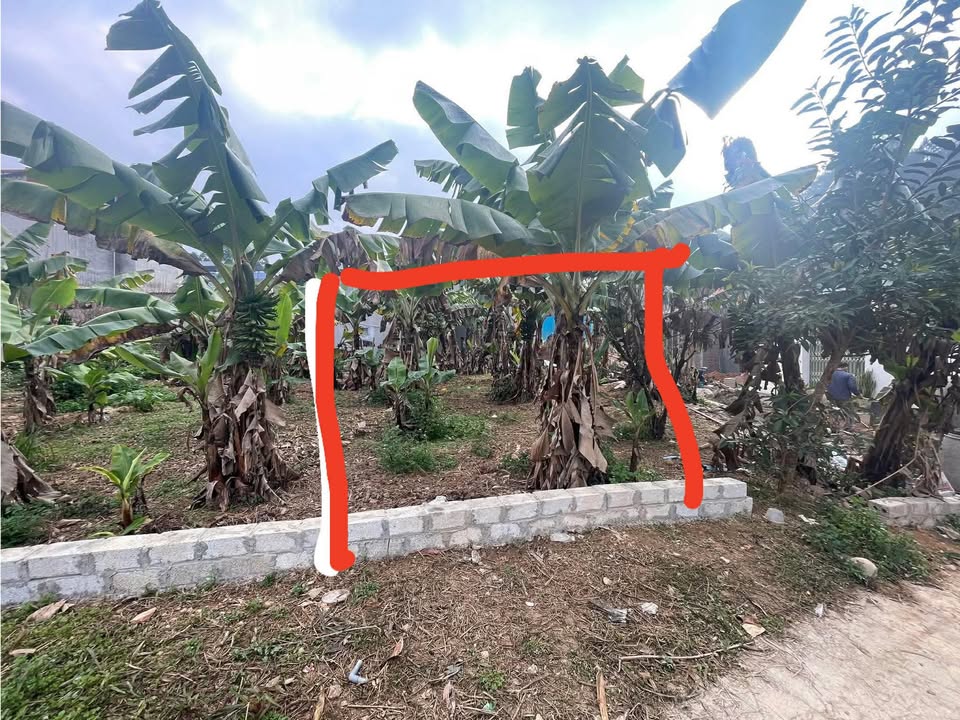 Lô đất phường Lương Văn Tri 60m² giá 600 triệu - Đường ô tô đỗ cửa