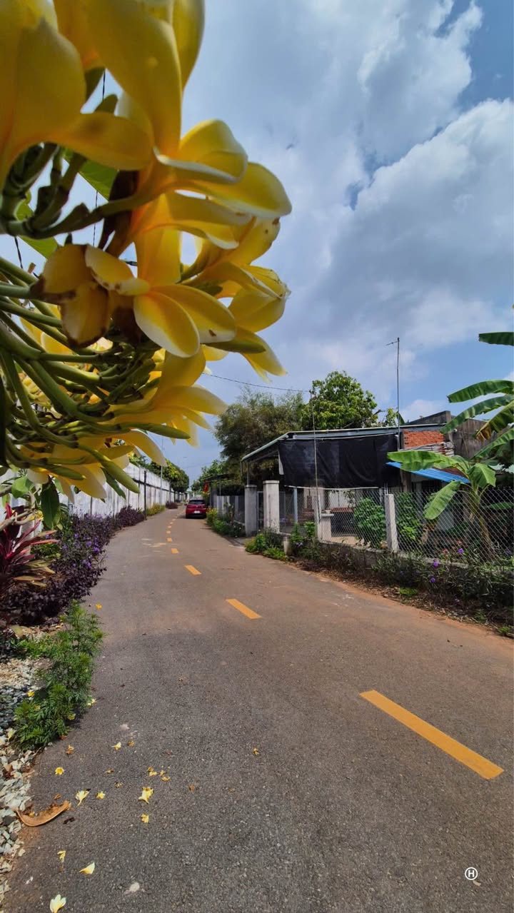 Nhà vườn mặt tiền đường Nhựa Tim Vàng, 1123m² giá 3.2 tỷ - Cơ hội đầu tư hấp dẫn!