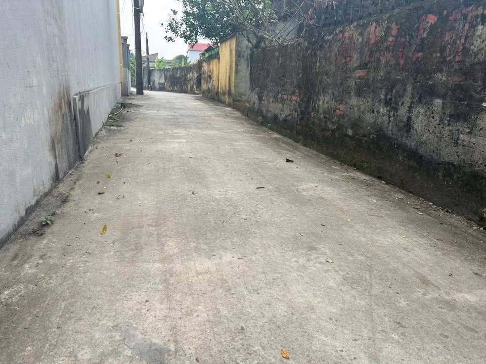 Đất thổ cư xã Thái Thọ, huyện Thái Thụy 130m² giá 4xx triệu - Tiềm năng đầu tư cao!