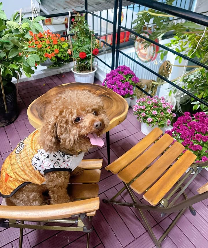 Nhà 2 tầng Trần Cao Vân Đà Nẵng 75m² giá 3.25 tỷ - Vào ở ngay!