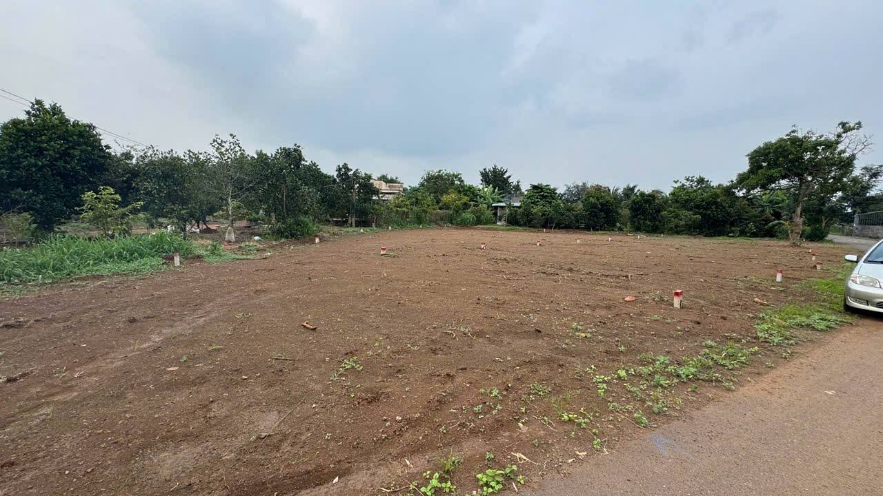 Đất nền xã Long Tân 126m² giá 550 triệu - Sổ đỏ chính chủ
