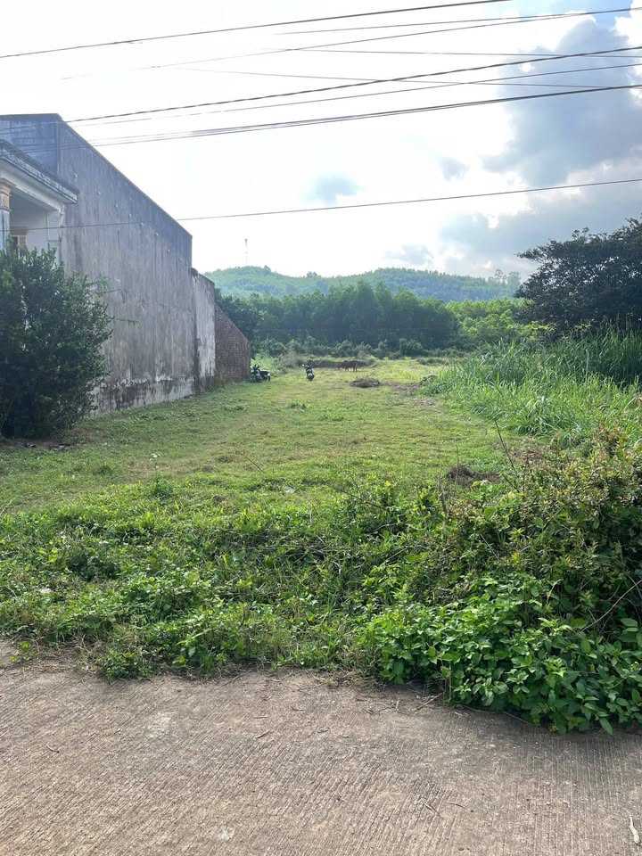 Townhouse Thị trấn Mộ Đức 200m² giá 4.x tỷ - Sổ hồng chính chủ, thương lượng nhanh!