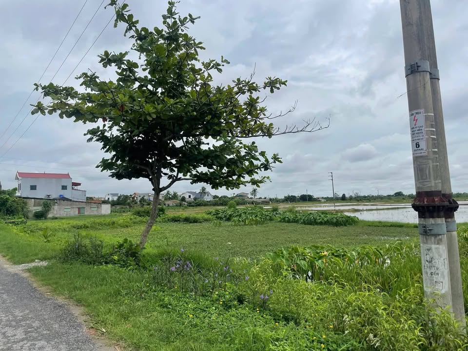 Đất nền đẹp tại xã Quỳnh Ngọc, huyện Quỳnh Phụ, giá chỉ từ 200 triệu