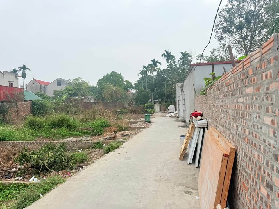 Đất thổ cư 70m² tại An Bình, Thuận Thành - Giá chỉ 1 tỷ, cơ hội vàng cho đầu tư