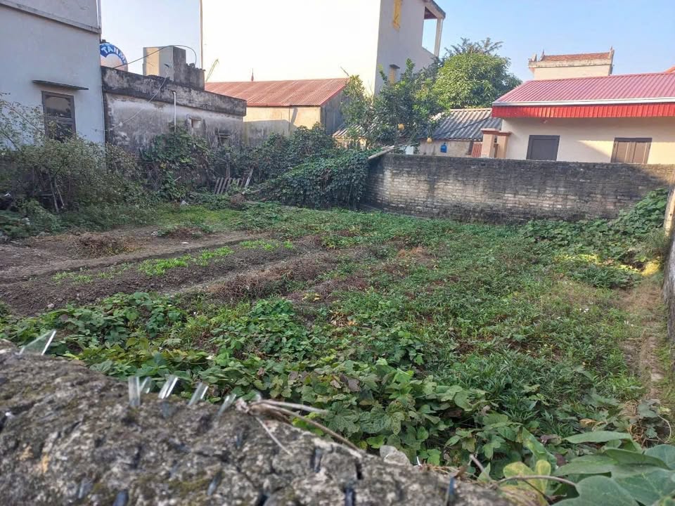 Đất nền thổ cư 200m² tại Thị trấn Lâm, Ý Yên - Giá tốt chỉ 10 triệu/m²!