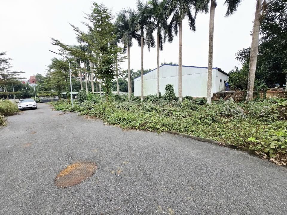 Đất nền Xã Đồng Trúc, Huyện Thạch Thất 69m² giá 3 tỷ - Vị trí đắc địa, gần Metro!