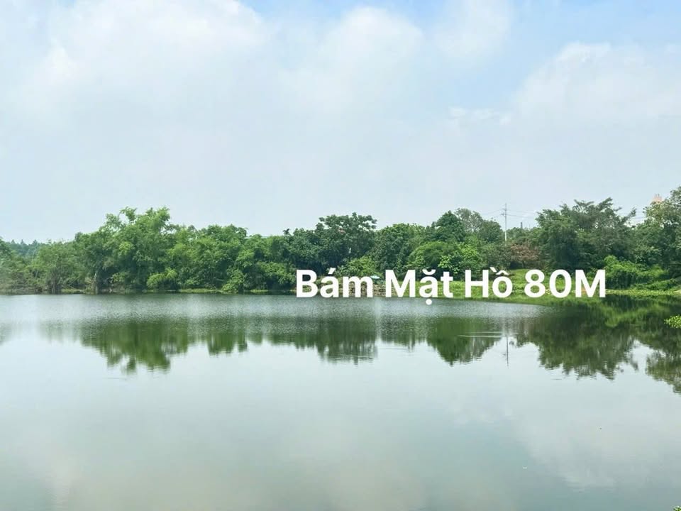 Đất nền 2100m² tại Phường Sơn Lộc, Thị xã Sơn Tây - Pháp lý sổ đỏ, bám đường nhựa lớn!