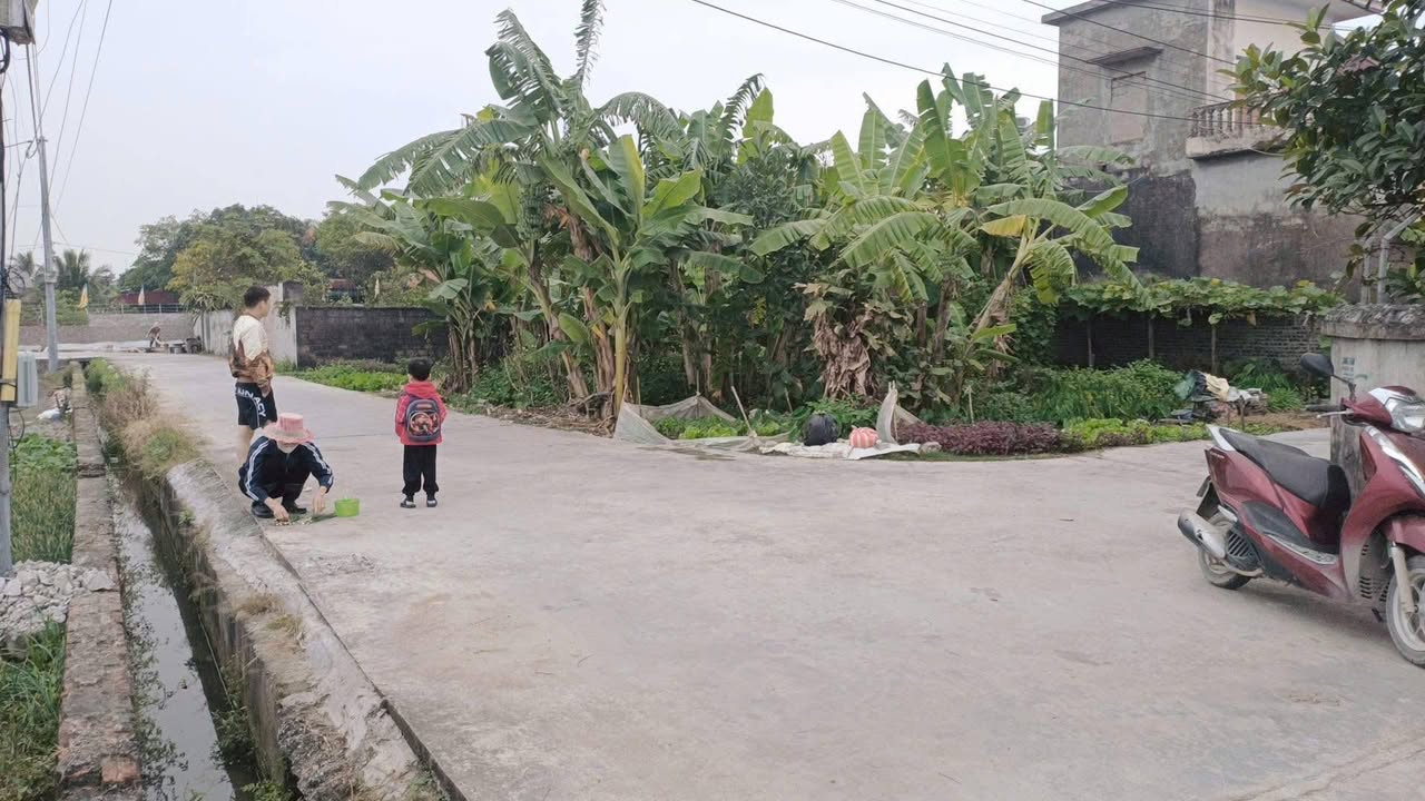 Đất nền xã Quang Phục, 80m² giá chỉ 600 triệu - Đường thông thoáng, dân cư đông đúc!