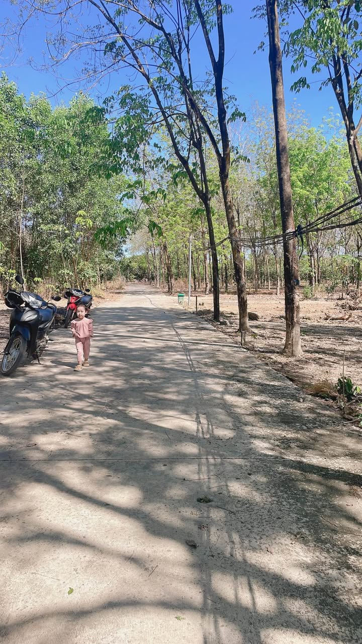 Đất nền Khu phố 2, Phường Tiến Thành, 585m² - Giá cực tốt, đầu tư sinh lời!