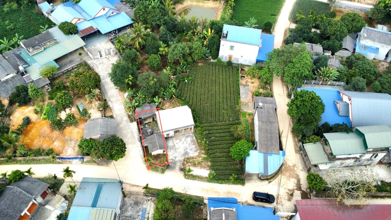 Đất nền làng Phan, Xã Cổ Lũng, 250m² giá 1.286 tỷ - Đầu tư sinh lời ngay!