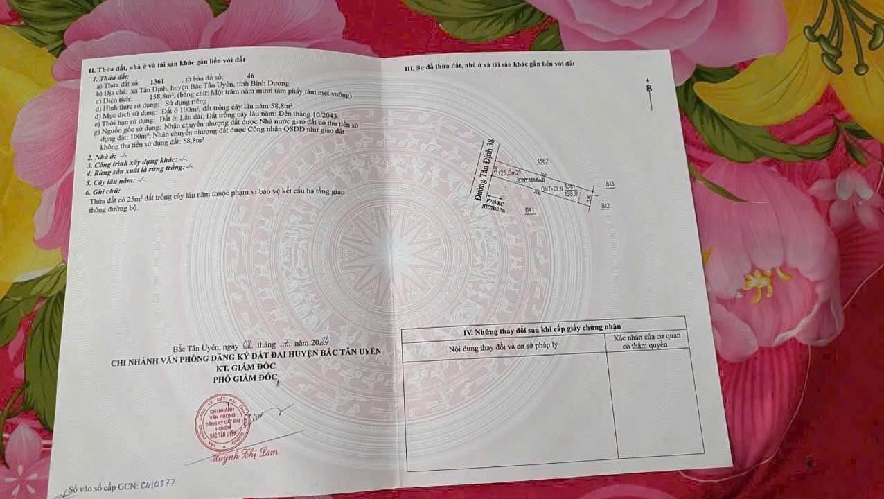 Đất thổ cư 158m² tại đường Tân Định 38, giá chỉ 900 triệu - Cơ hội đầu tư hấp dẫn!