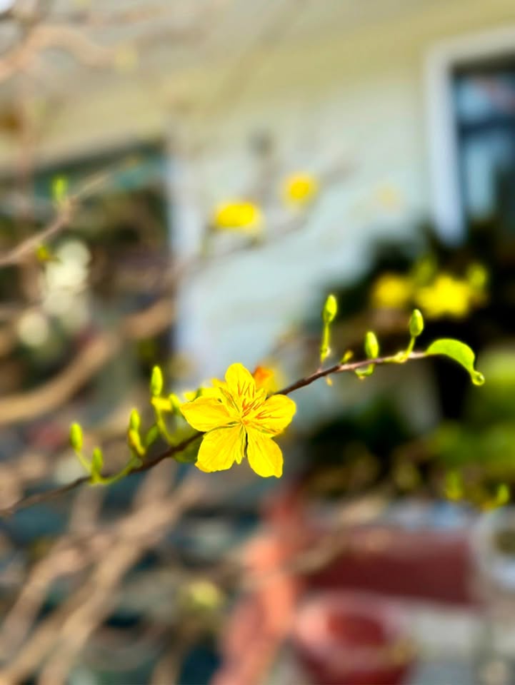 Đất nền xã Minh Thạnh, Huyện Dầu Tiếng, 700m² giá 489 triệu - Sổ đỏ chính chủ!