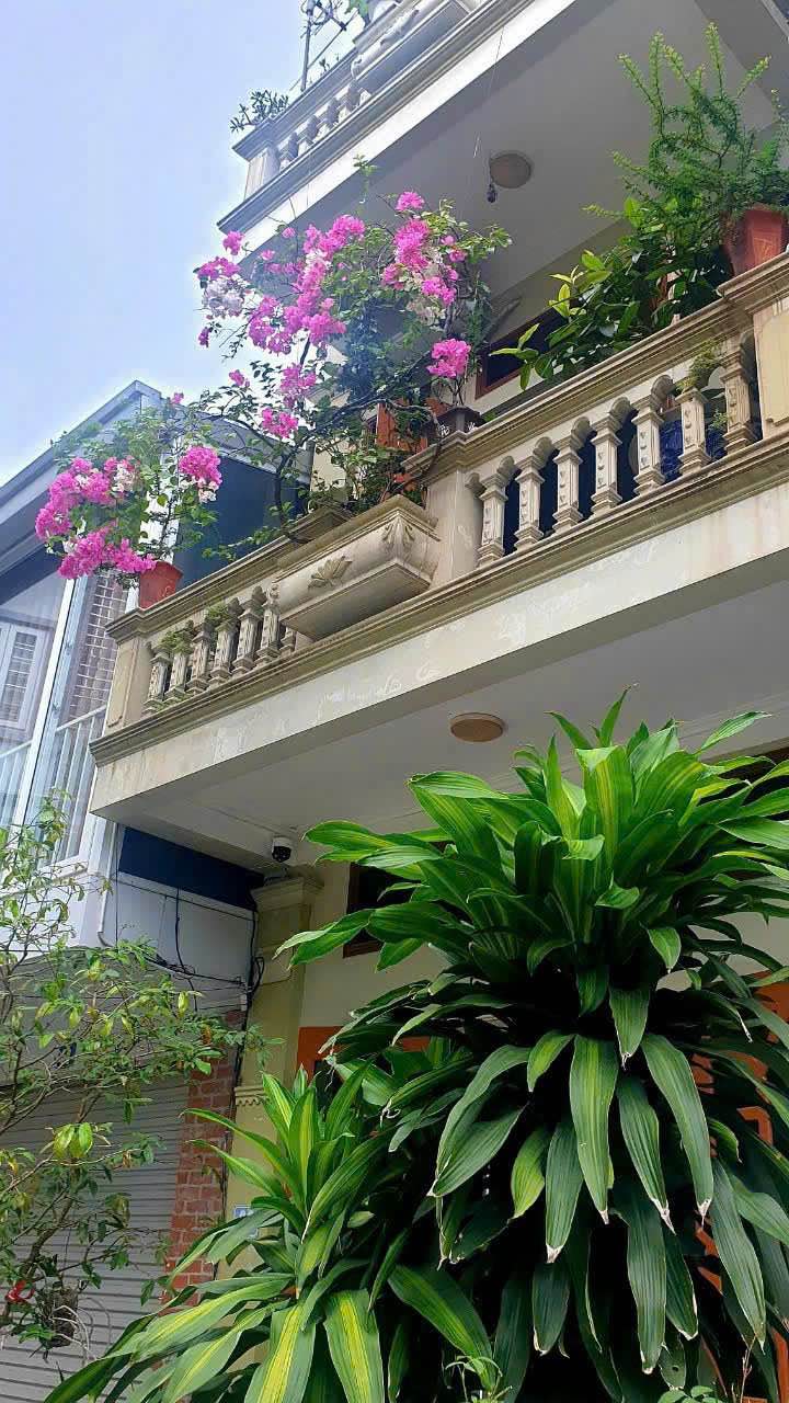 Nhà nguyên căn 60m² tại Trần Hưng Đạo, Thái Bình - Giá thuê thỏa thuận, đầy đủ tiện nghi!