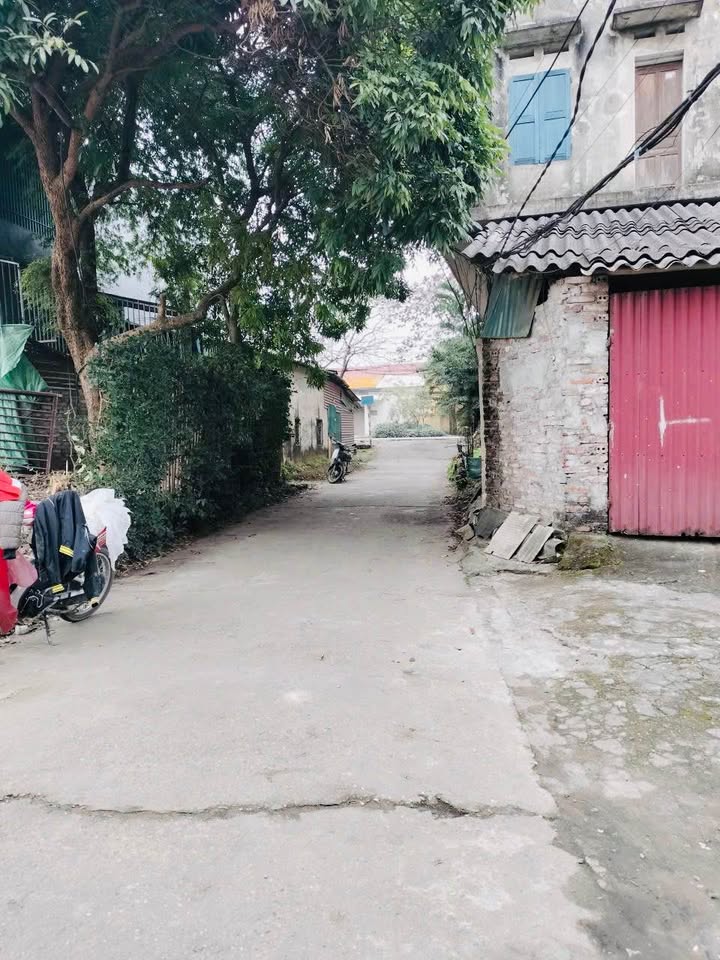 Lô đất Hồng Hà 2 – Thanh Miếu 70m² giá chỉ 1 tỷ - Đầu tư sinh lời ngay!